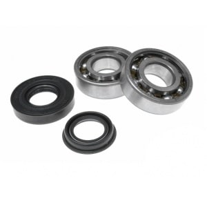 Krumtapslejesæt (SKF)