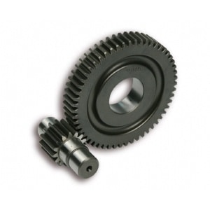 Gearing 15/55t (Malossi HTQ)